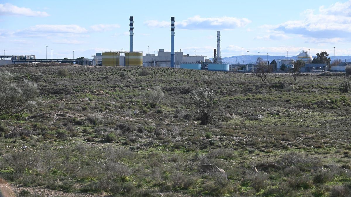 La factoría de Stellantis en Figueruelas da un nuevo paso: luz verde a la cimentación y la estructura por 42,2 millones