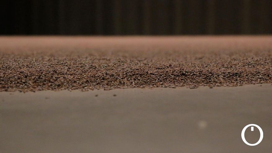 Instalación de Flora 2021 en el C3A