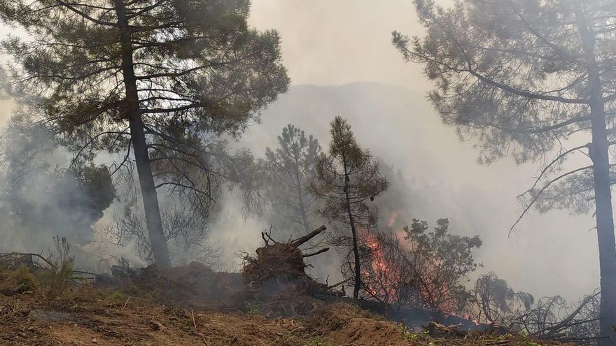 Las condiciones climatológicas empeoran la situación.
