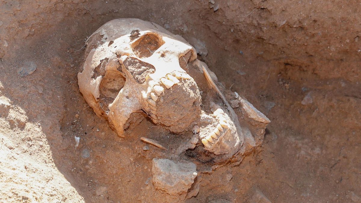 Cabeza del joven aborigen encontrado enterrado en La Guancha, Gran Canaria.