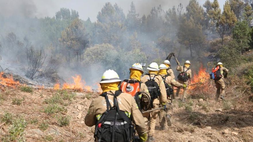 España manda a Portugal dos aviones y 4 militares de UME a combatir incendios