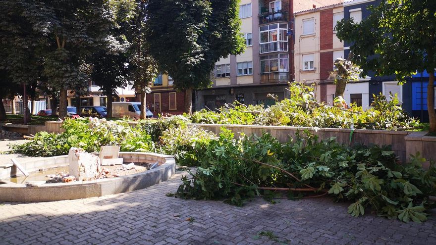 El equipo de gobierno del Ayuntamiento de León asegura que los árboles talados de San Mamés se repondrán