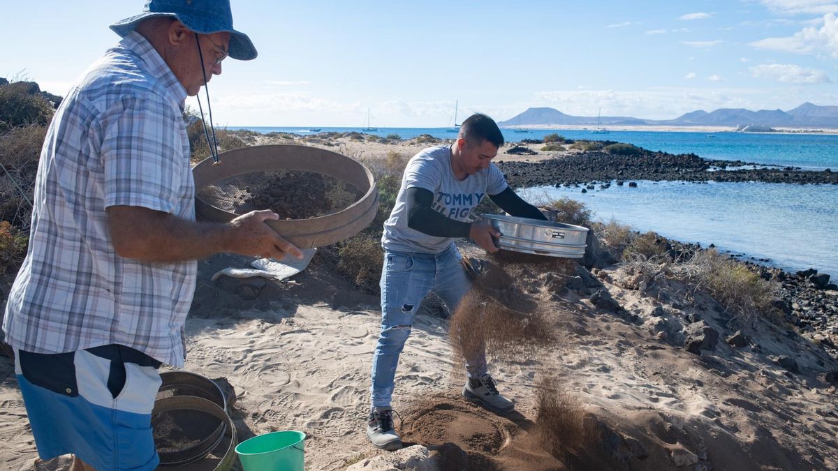 Un georadar detecta nuevas zonas con posible potencial arqueológico en el yacimiento de Lobos, EFE/ Carlos De Saá