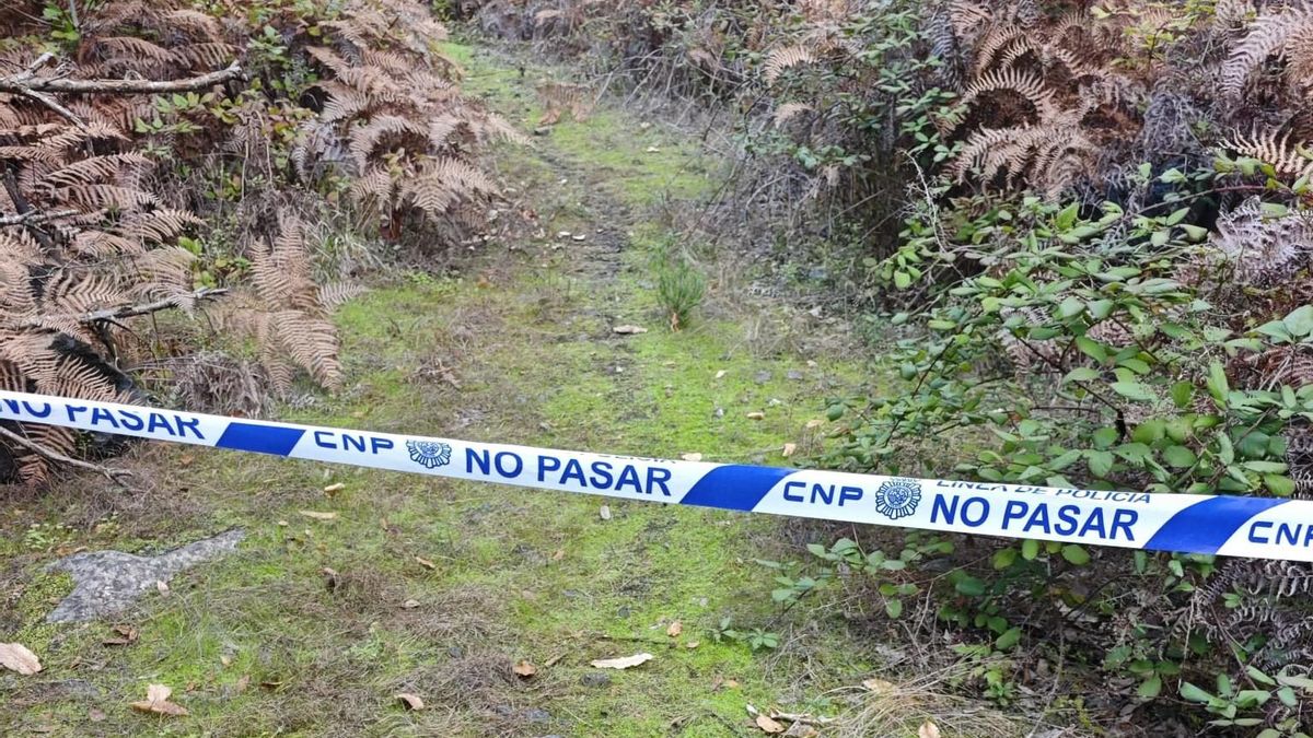 Localizan un cadáver en descomposición en un barranco en La Palma
