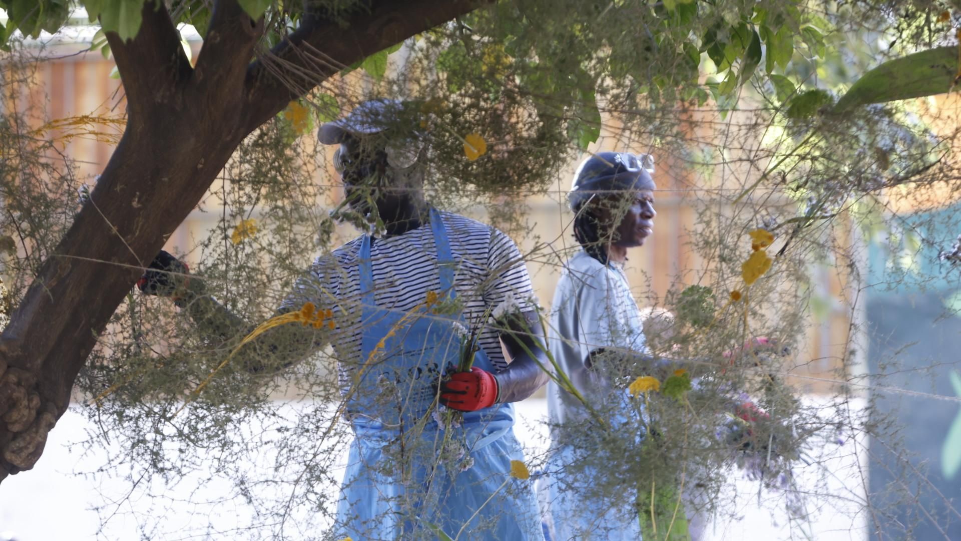 Guerrilla Flora 2025