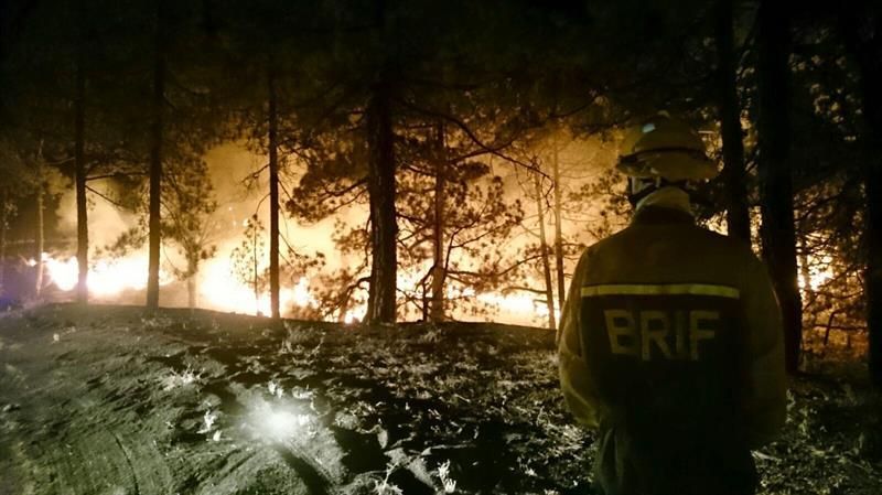 Incendio en La Palma. (Efe)
