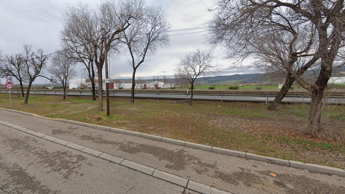 Una imagen de la calle Cañada Real Soriana, en Villarrubia.