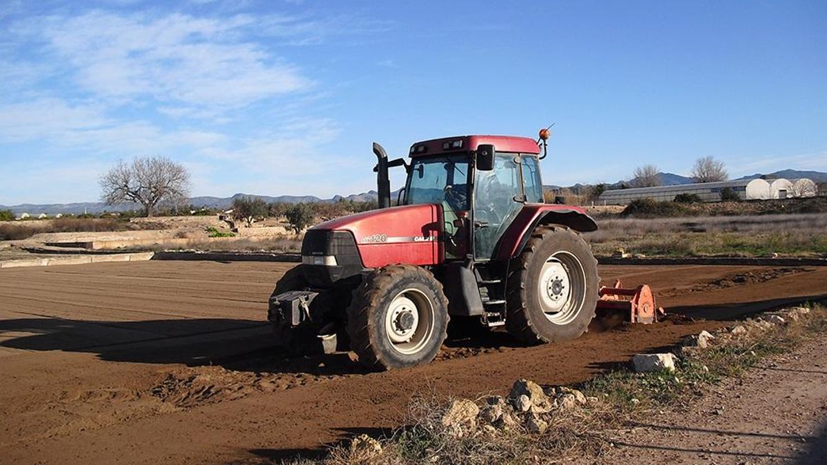 La Ley de la Cadena: papel mojado a costa del agricultor