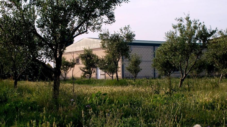 El triunfo de la paciencia y el rigor ecológico en el olivar de Alfaro: "Cuando tratas bien a la tierra, te lo devuelve con creces"