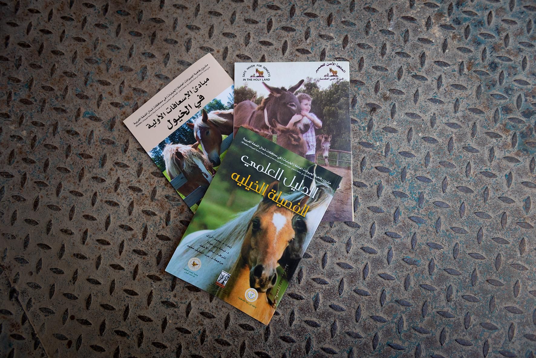 Libros sobre veterinaria en árabe