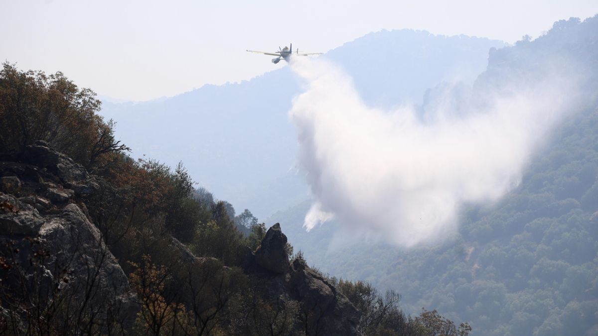 Incendio forestal de Fermoselle (Zamora).