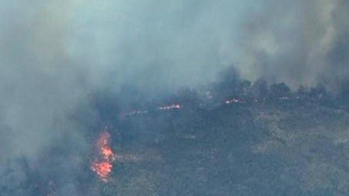 Un camión ardiendo en la A-66 provoca un incendio forestal y obliga a desalojar Grimaldo y Casas de Millán, en Cáceres