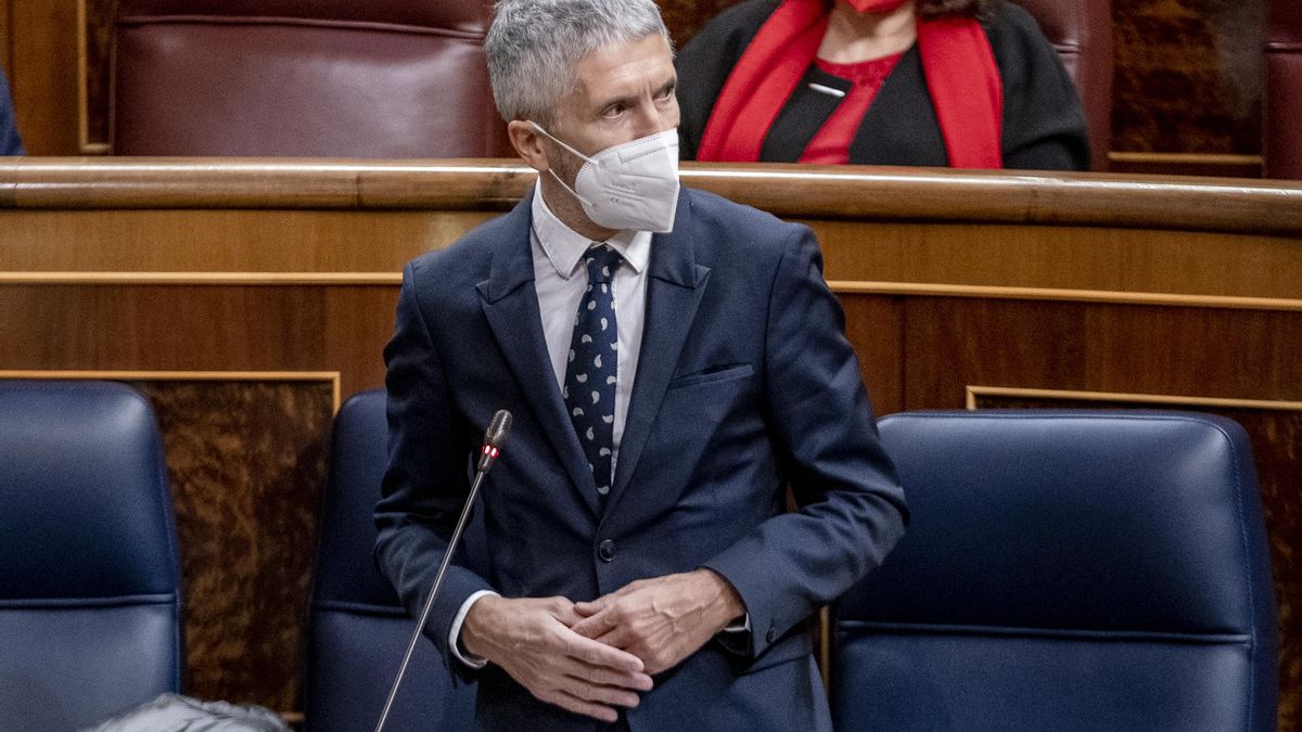 El ministro del Interior, Fernando Grande-Marlaska, interviene en una sesión plenaria en el Congreso