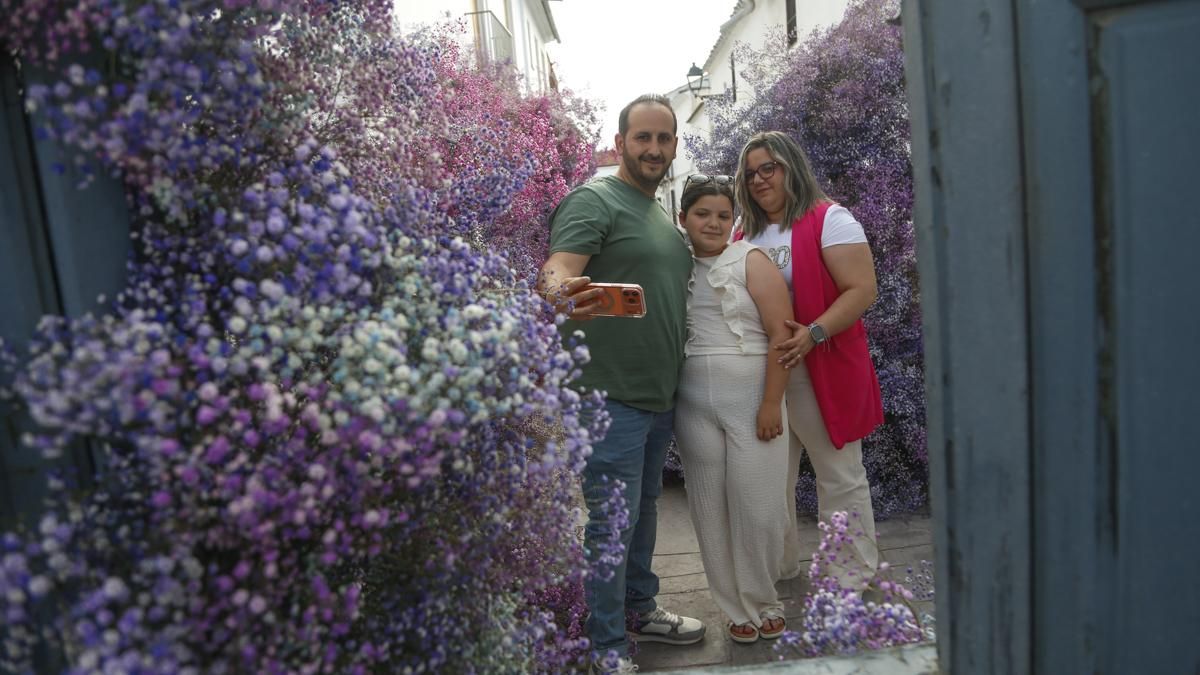 Calles en Flor 2026