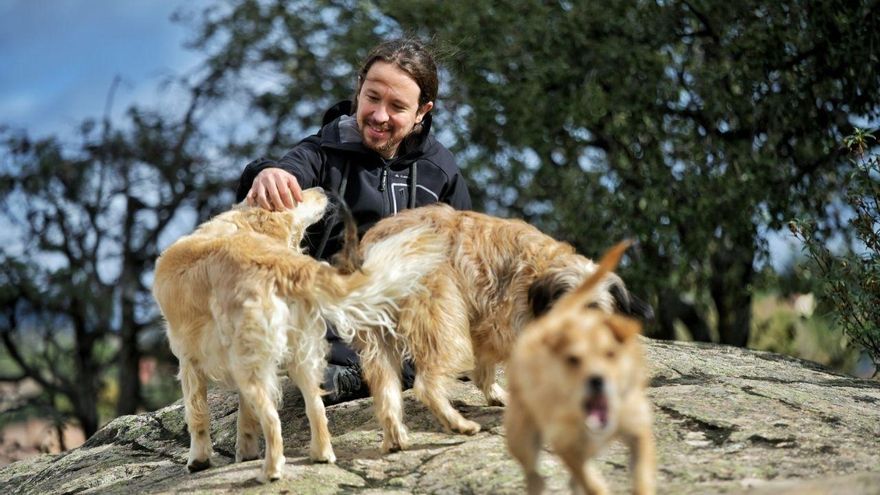 Archivo - Pablo Iglesias junto a sus perros durante la jornada de reflexión del 10N