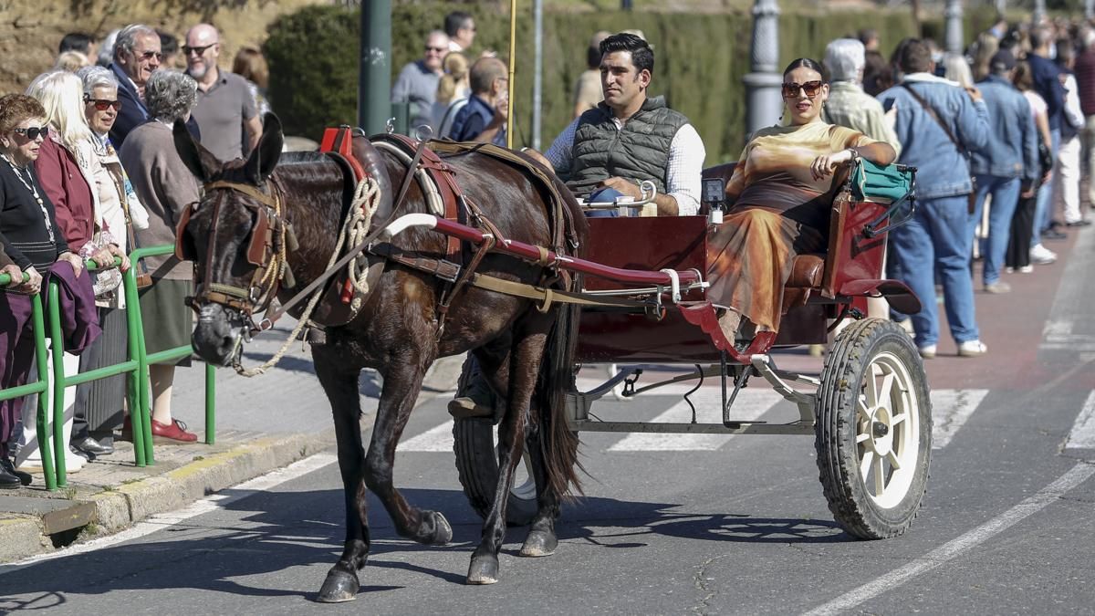 XVIII Marcha Hípica ‘Córdoba a Caballo’