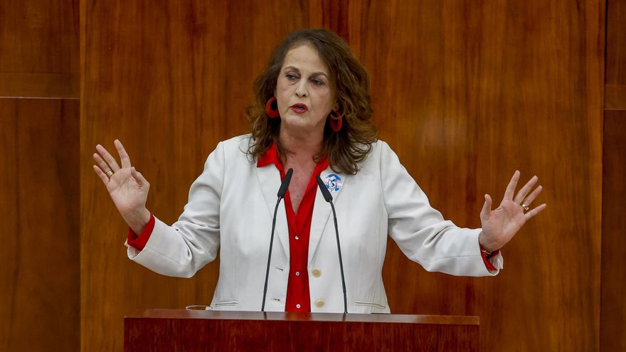 La diputada de Más Madrid en la Asamblea de Madrid Carla Antonelli. EFE/ Juan Carlos Hidalgo