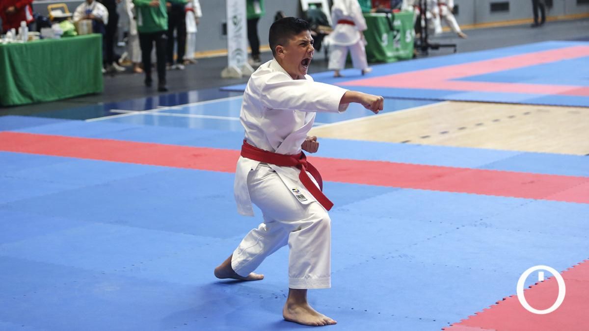 Campeonato de Andalucía Infantil y Juvenil de kárate