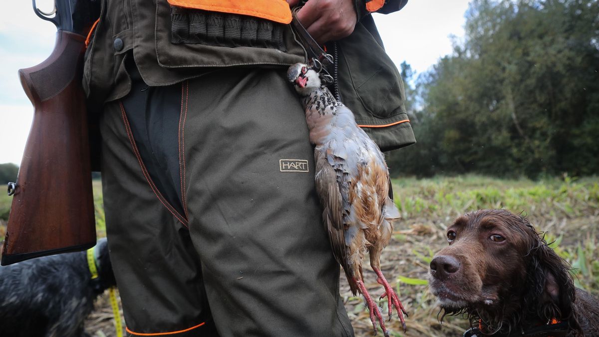 Los cazadores de Cantabria tendrán que hacer un examen para obtener la licencia