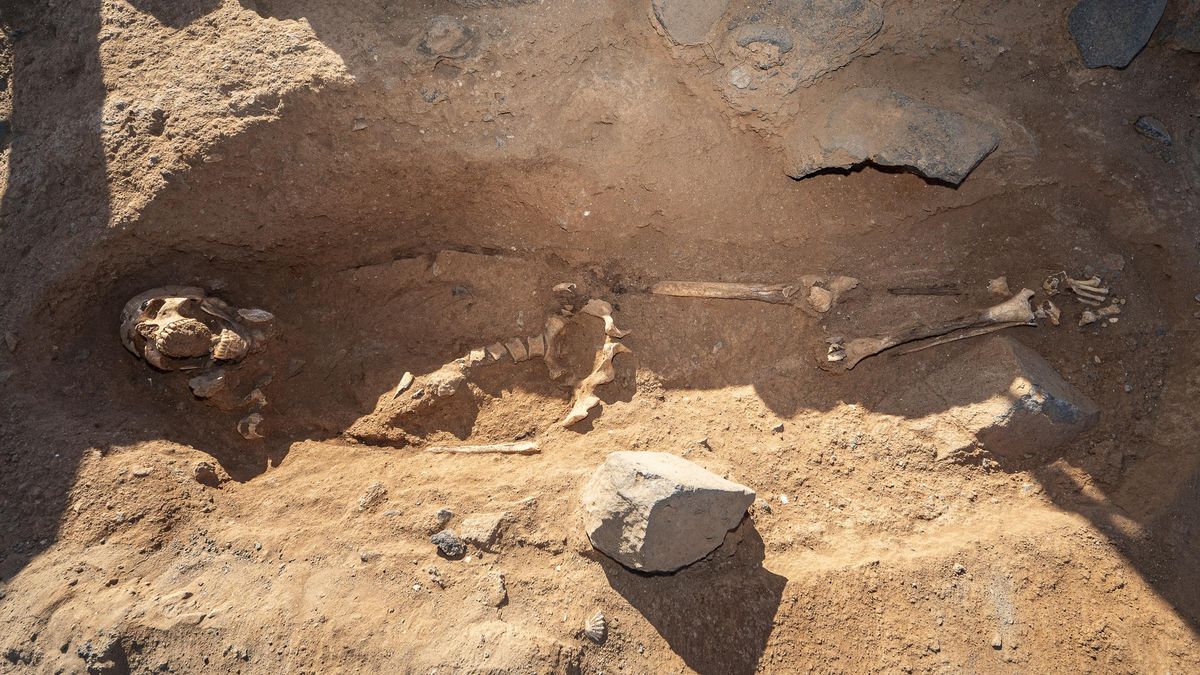 Cuerpo encontrado en La Guancha.