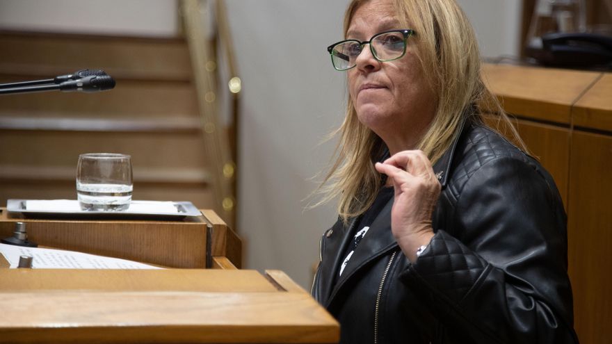 Las muertes en la frontera de Melilla dividen a PNV y PSE-EE en el Parlamento Vasco