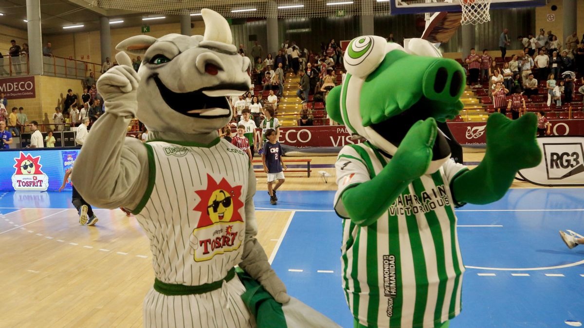 Final del Coto Córdoba - Amics del Basquet Castelló