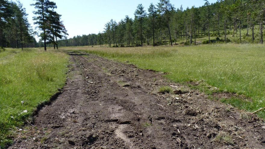 Vuelven a denunciar nuevas obras en el espacio protegido de la Serranía de Cuenca donde hubo talas en enero