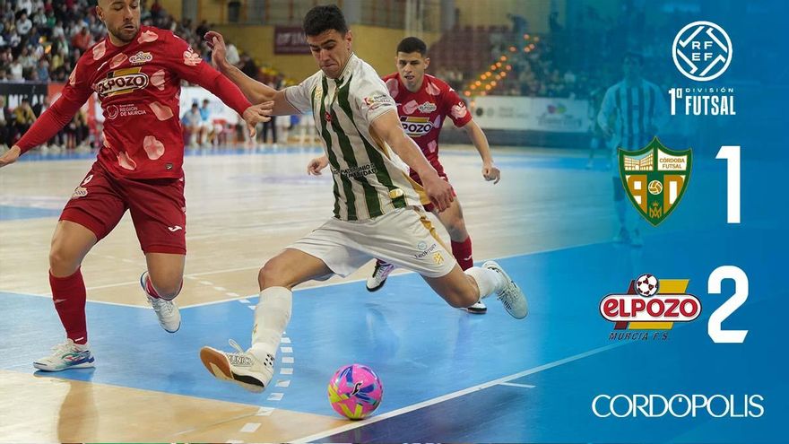 El Córdoba Patrimonio cae con la cabeza alta ante ElPozo Murcia