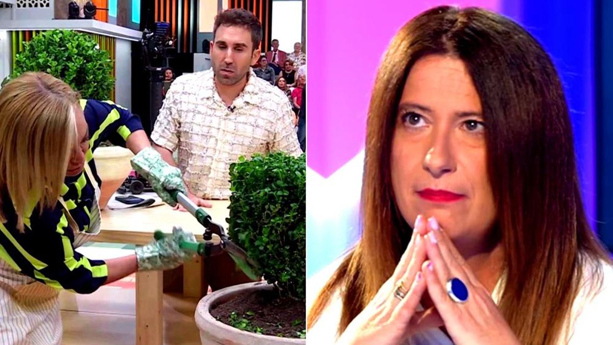Imágenes de 'La familia de la tele' y 'Todo es mentira'