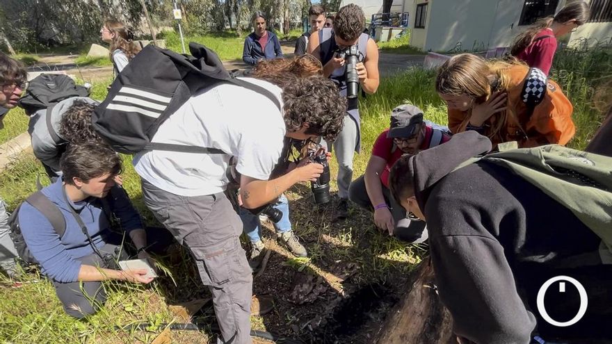 Ciencia ciudadana para conocer lo que pisamos: "Hay quien sabe más tipos de Pokémon que especies autóctonas"