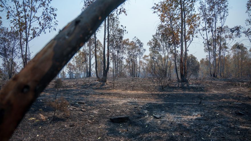 El incendio de Niebla entra en una fase de contención y permite el regreso a casa de más de un centenar de vecinos