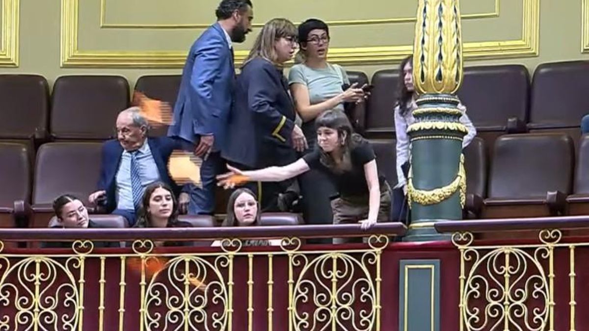 El Sindicato de Inquilinas lanza panfletos en el Congreso durante la intervención de una diputada del PP