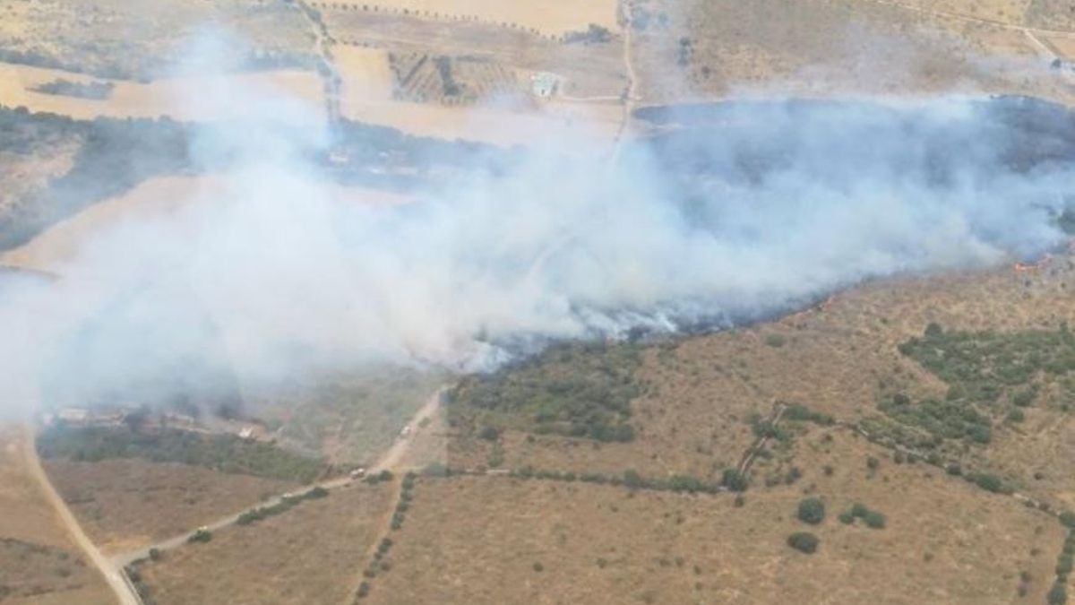 Efectivos del Plan INFOCAM se incorporan a un incendio forestal en una zona militar de Uceda, en Guadalajara