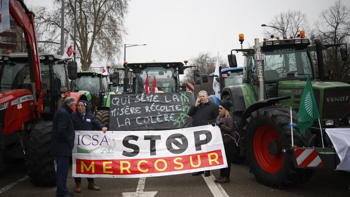 Granjeros europeos protestan en Estrasburgo, Francia, contra el acuerdo Mercosur-UE.