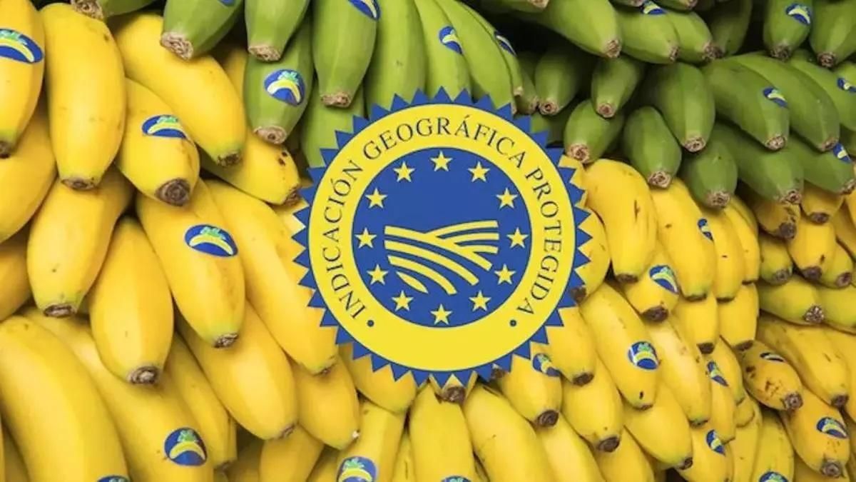 Exposición de plátano de Canarias con el distintivo IGP