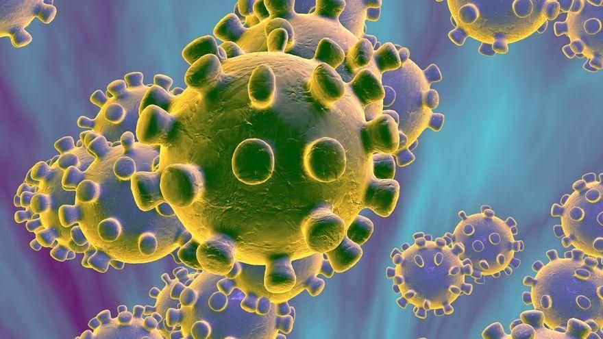 Imagen del coronavirus responsable de la COVID-19.