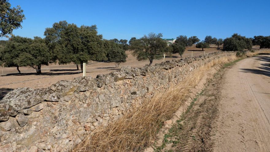 Respaldo del Congreso para proteger las tradicionales construcciones de piedra seca de Los Pedroches