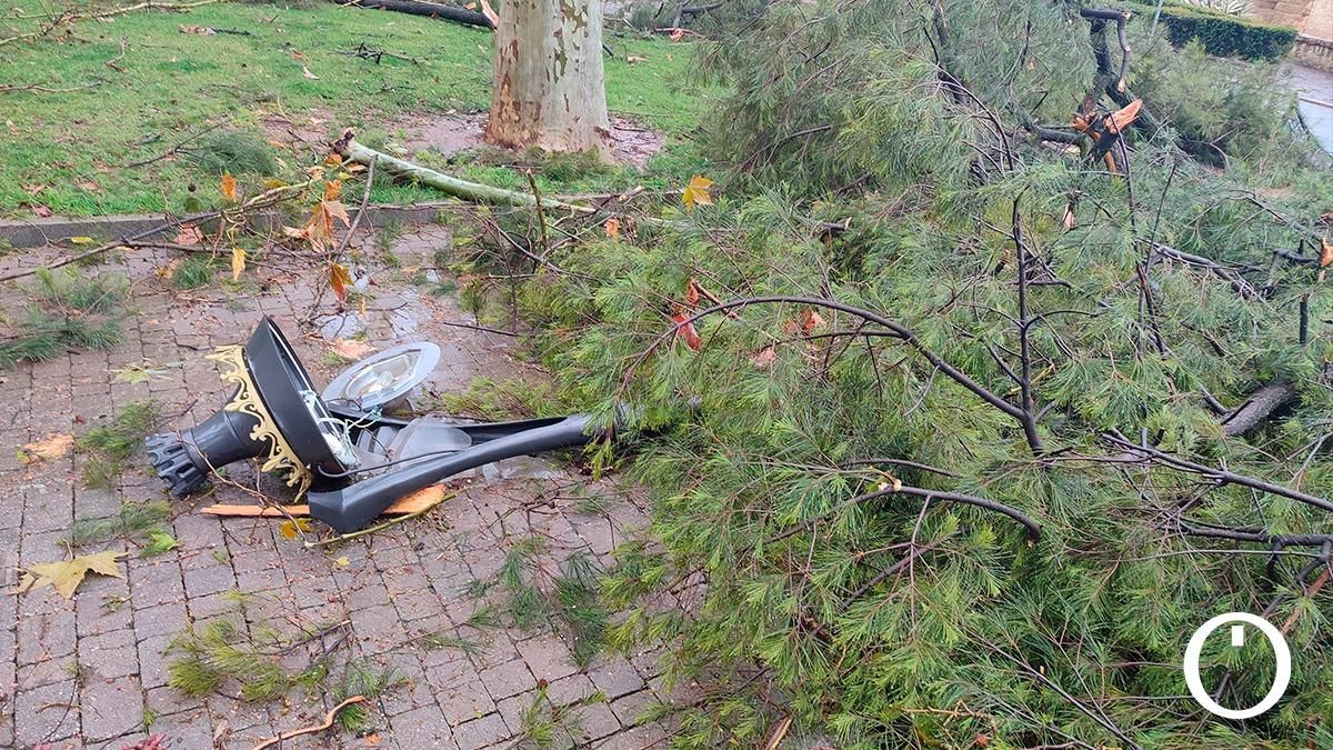 Los efectos del viento y la lluvia en Córdoba