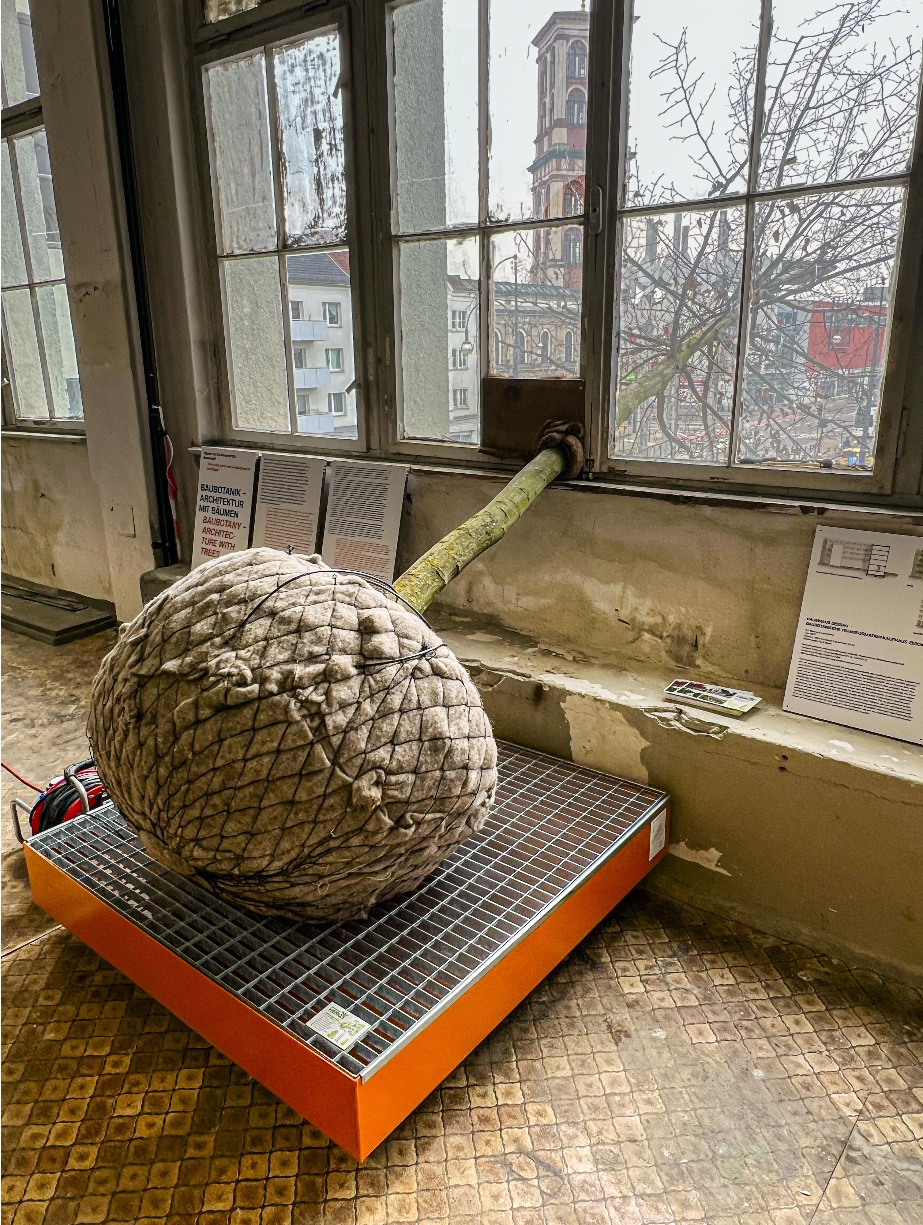 Cepellón para construir una fachada vegetal, en la exposición 'Algae Debris CO2'