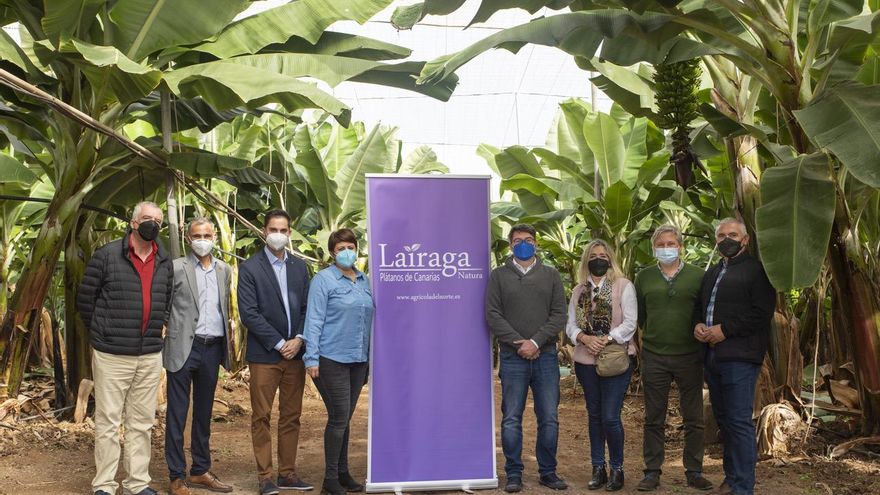 Gran Canaria organiza una misión comercial para que Alcampo nutra su frutería con producto local