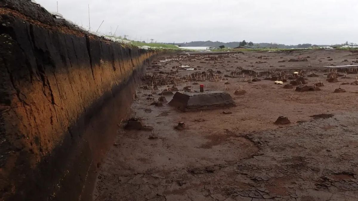 Hace 7.300 años, Japón sufrió una erupción apocalíptica y sus habitantes lograron sobrevivir a una amenaza devastadora