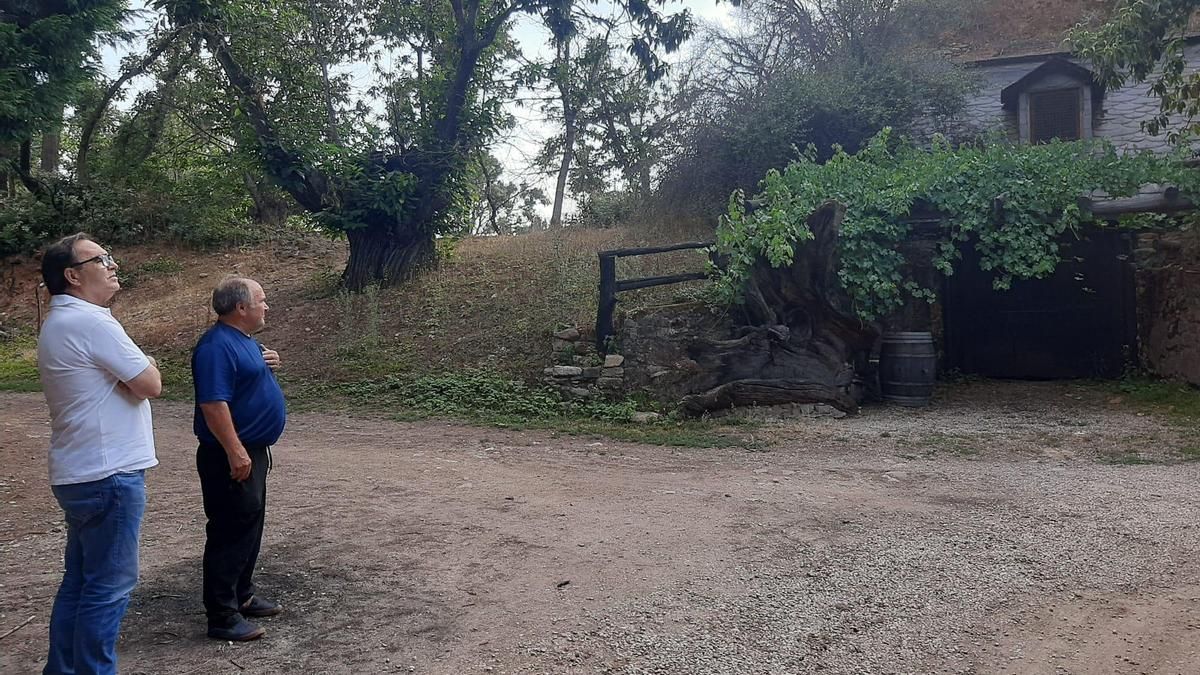 Alfonso Fernández (izquierda) y Pedro Diéguez, a la entrada de la cueva de este último en Las Médulas. 