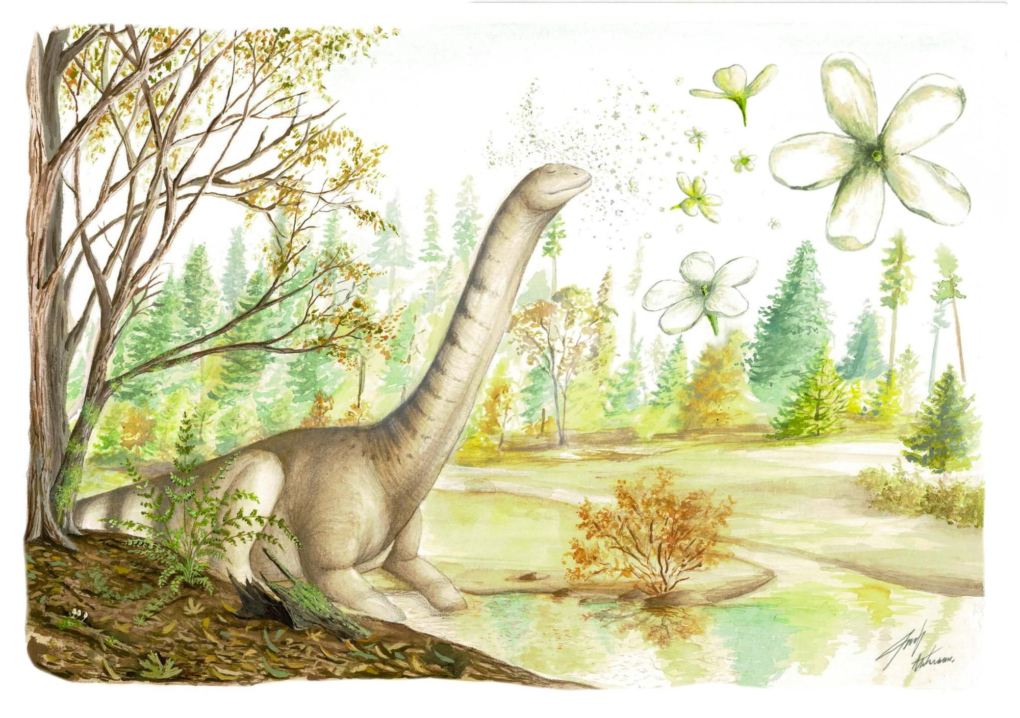 Reconstrucción ambiental