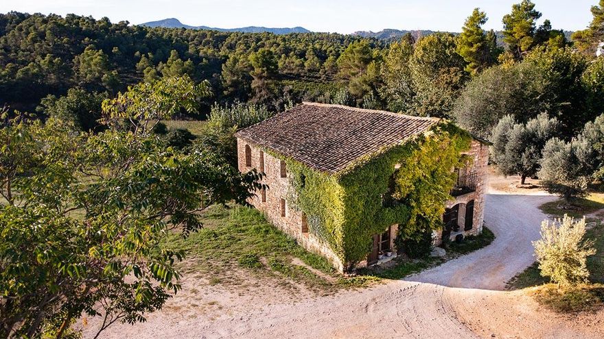 No es la Toscana turolense (ni tiene nada que envidiarle): una ruta de aceite y vino por el Matarraña