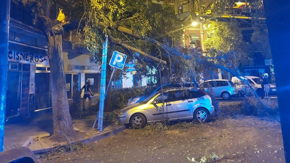 Un momento de la intervención.