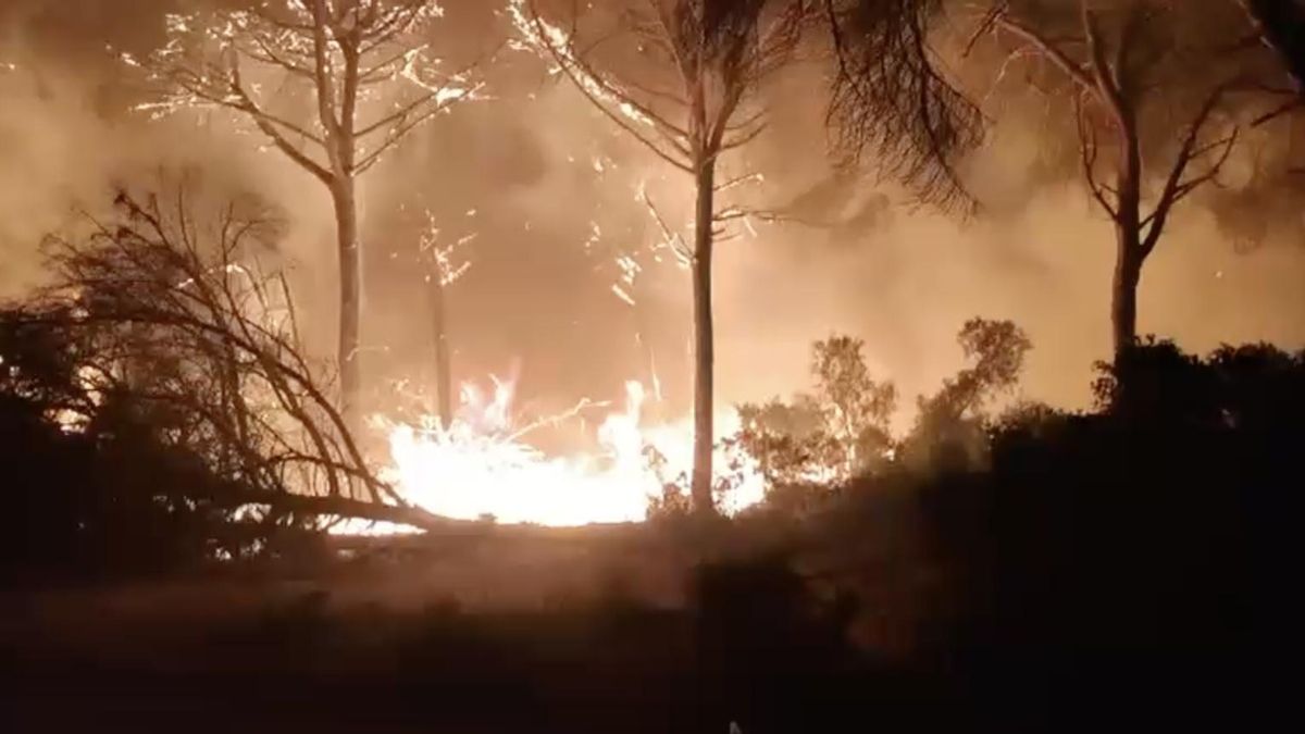 Alertan de que los incendios se han producido junto a caminos transitados horas antes por las hermandades rocieras