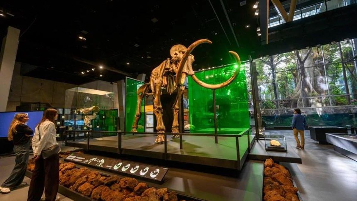 Museo de la Ciencia CosmoCaixa, en Barcelona.