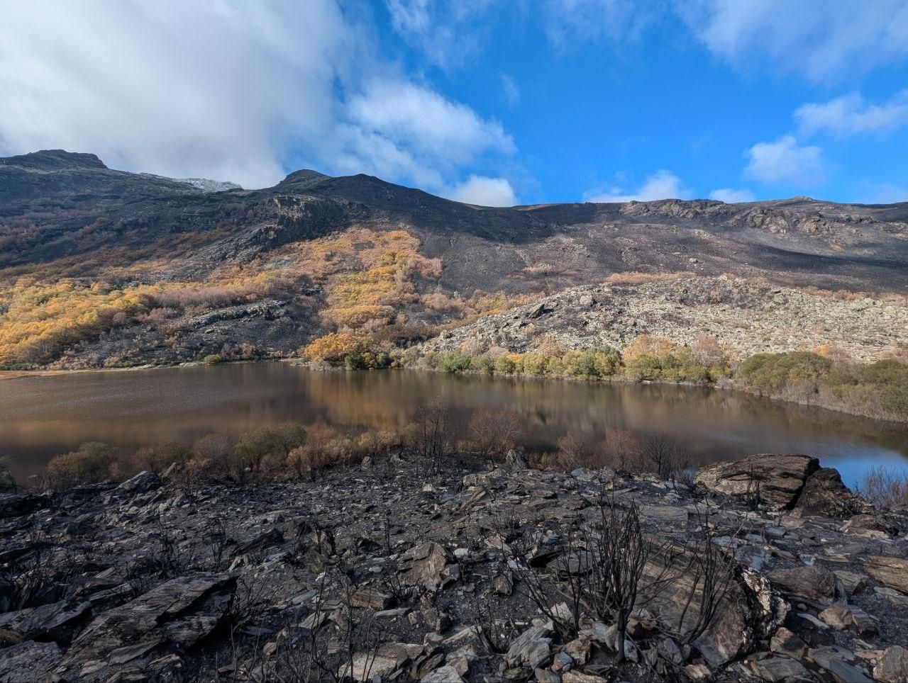 El Lago de la Baña tres meses después de ser arrasado por el fuego