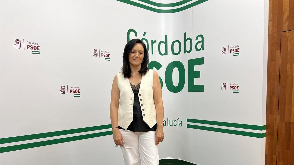 Crespín (PSOE) pide a Diputación y Ayuntamiento que afronten "el reto demográfico" en Córdoba