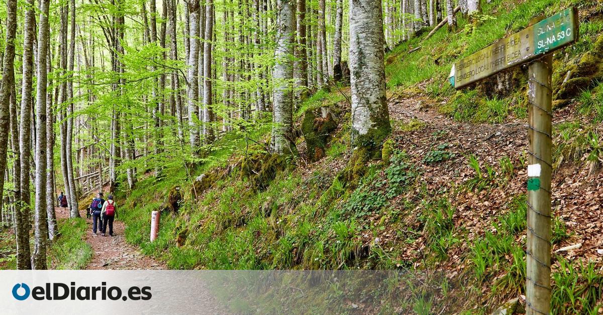 Dónde hacer una escapada en otoño si este verano no viajaste: cinco destinos para disfrutar de la naturaleza